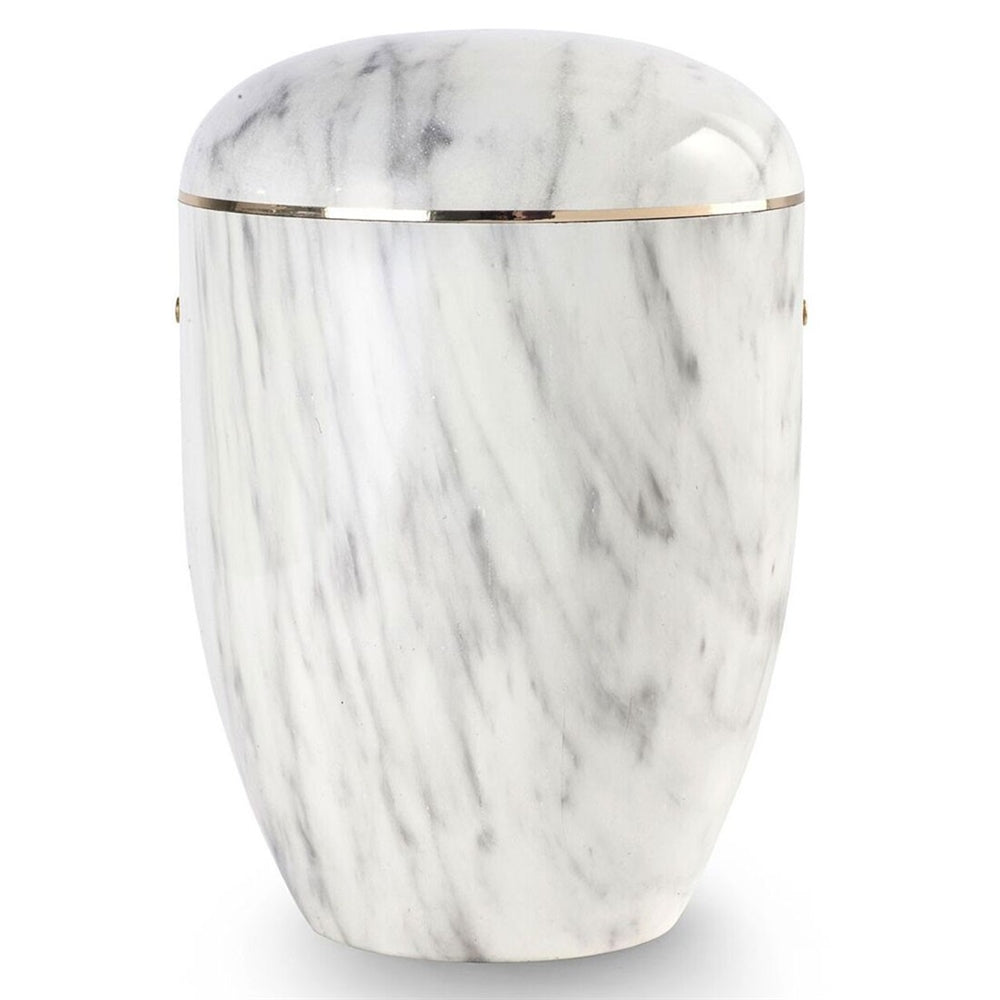 image_3185