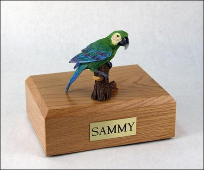 image_2244