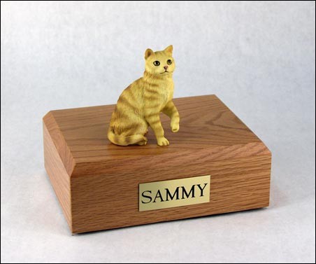 image_2663